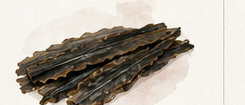 Watercolor illustration of Rausu kombu